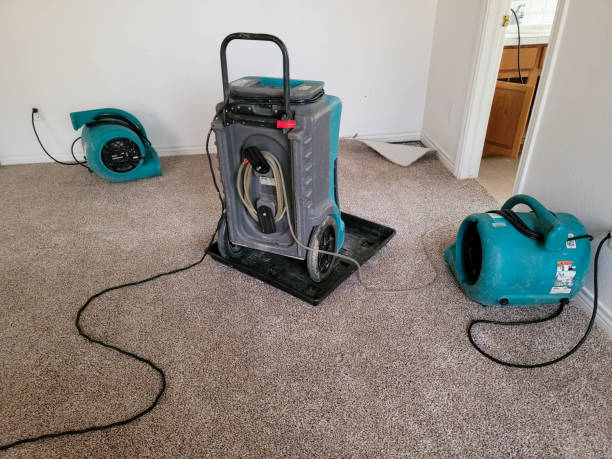 Best Water damage restoration near me  in Arcadia, LA
