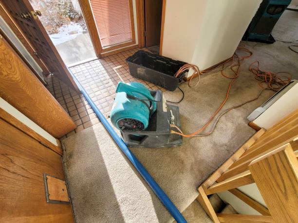 Best Commercial water damage restoration  in Arcadia, LA