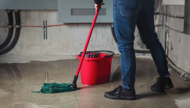 Best Local water damage restoration  in Arcadia, LA