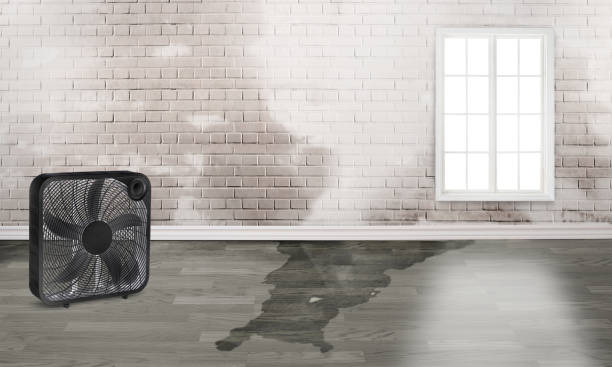 Best Sewage cleanup and water damage restoration  in Arcadia, LA