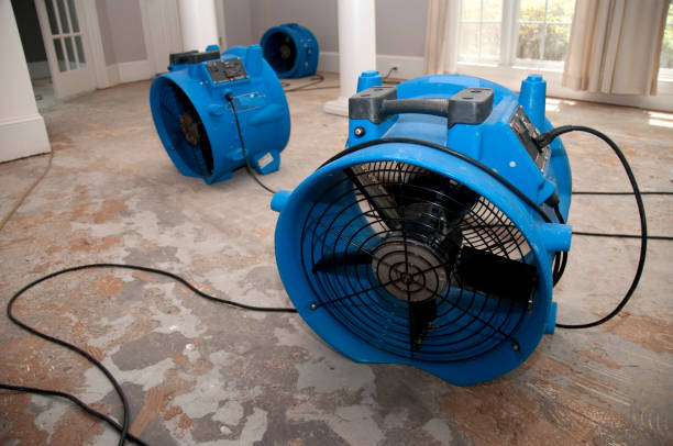 Best 24/7 water damage repair  in Arcadia, LA