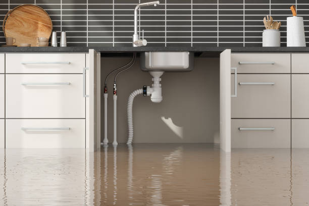  Arcadia, LA Water damage restoration Pros